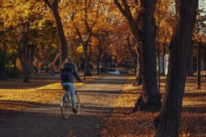 お金に強い女性になる方法を知るためのステップは？