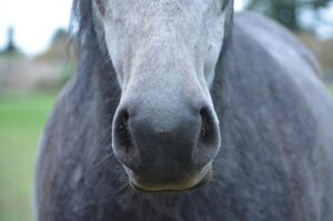 予算立てずに貯まる方法は本当に実践できるのか？