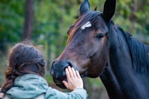 個別相談とセミナーのどっちがお得なのか徹底比較！