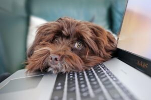 時短勤務をしながら投資で補える収入はどのくらい？